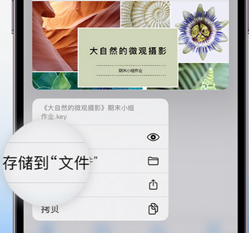 慈利apple维修中心分享iPhone文件应用中存储和找到下载文件