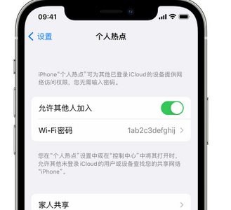 慈利apple服务站点分享iPhone上个人热点丢失了怎么办