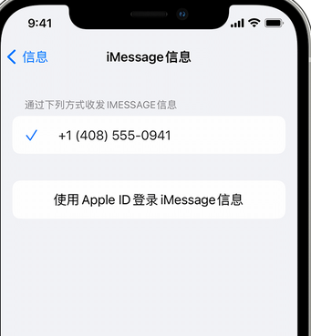 慈利apple维修iPhone上无法正常发送iMessage信息 