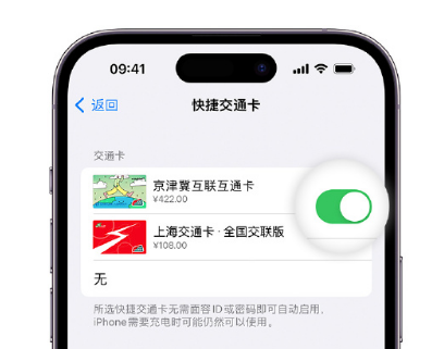 慈利apple维修点分享iPhone上更换Apple Pay快捷交通卡手绘卡面 