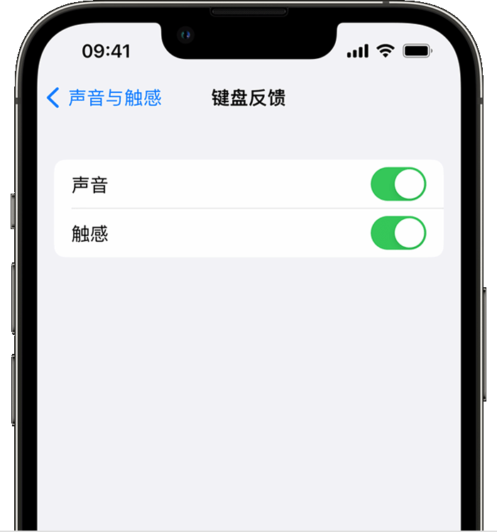 慈利苹果14维修店分享如何在 iPhone 14 机型中使用触感键盘 