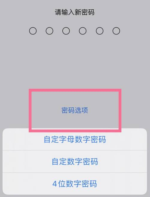 慈利苹果14维修分享iPhone 14plus设置密码的方法 