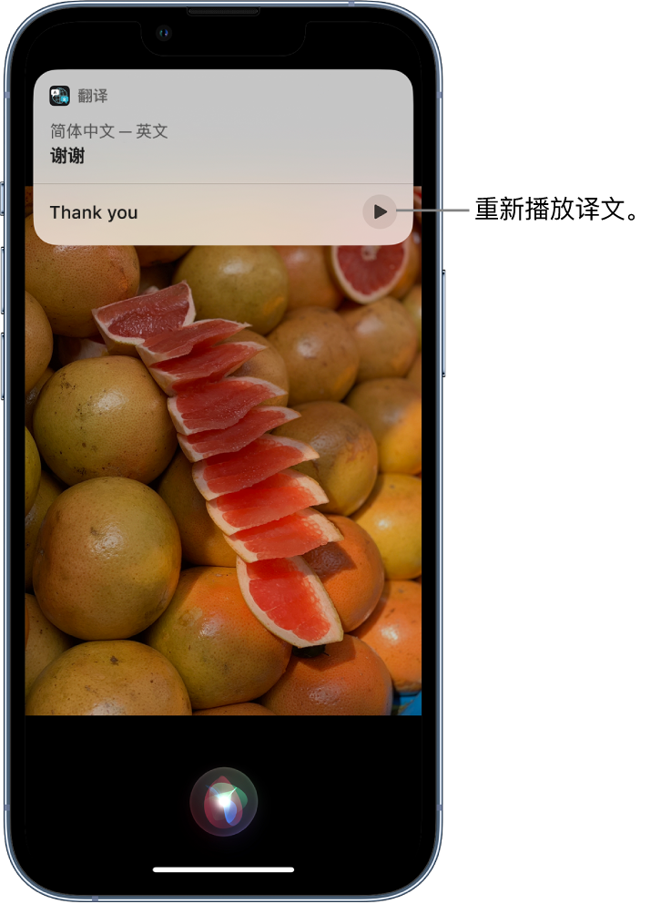 慈利苹果14维修分享 iPhone 14 机型中使用 Siri：了解 Siri 能帮你做什么 