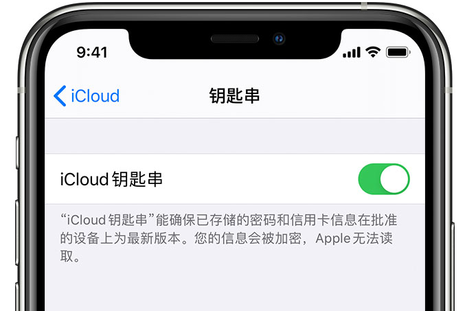 慈利苹果手机维修分享在 iPhone 上开启 iCloud 钥匙串之后会储存哪些信息 