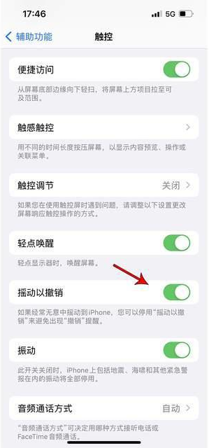 慈利苹果手机维修分享iPhone手机如何设置摇一摇删除文字 